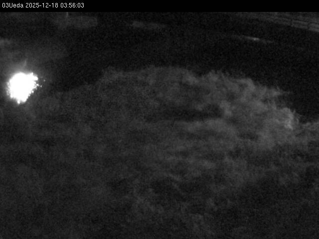 最新監視カメラ画像