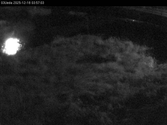 最新監視カメラ画像