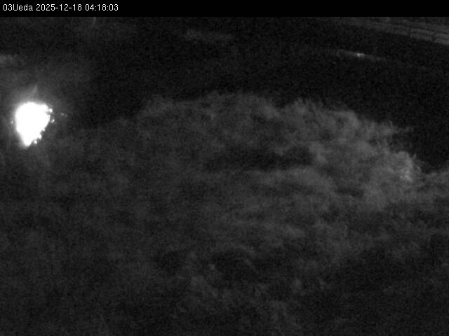 最新監視カメラ画像