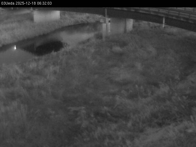 最新監視カメラ画像