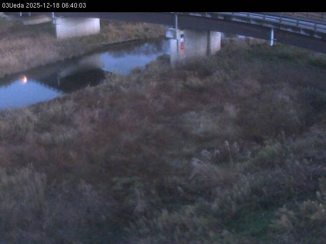 最新監視カメラ画像