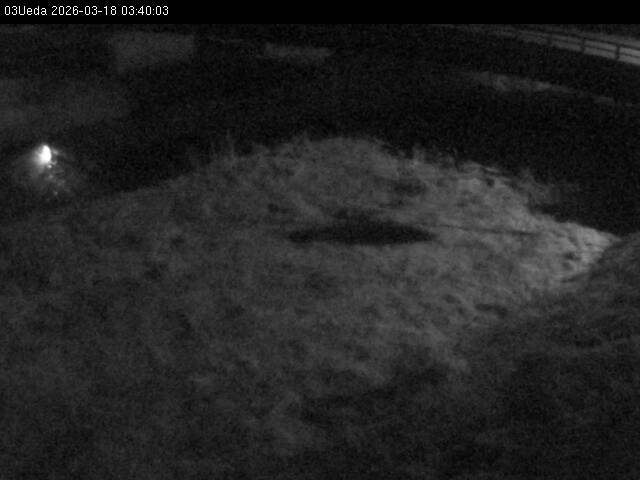 最新監視カメラ画像