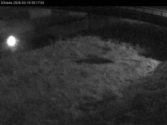 最新監視カメラ画像