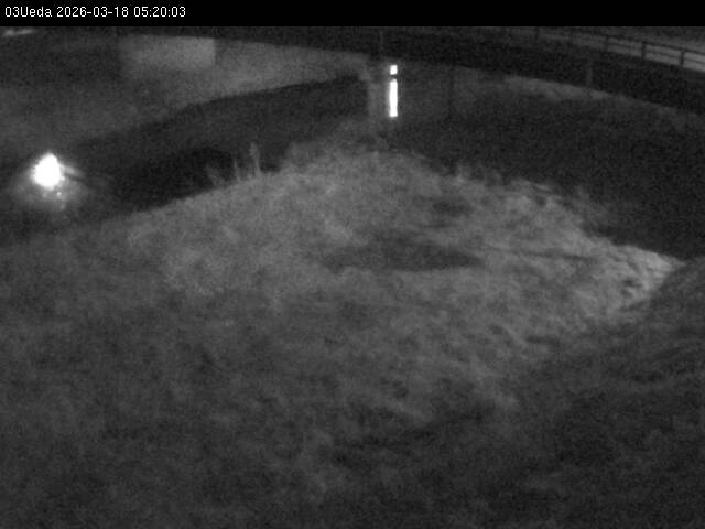 最新監視カメラ画像