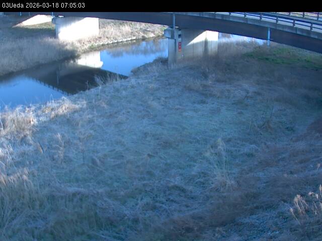 最新監視カメラ画像