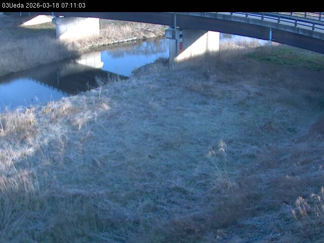 最新監視カメラ画像