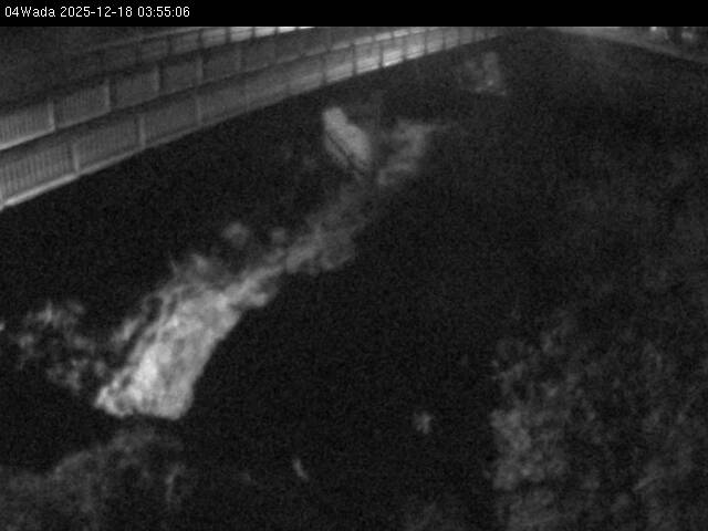 最新監視カメラ画像