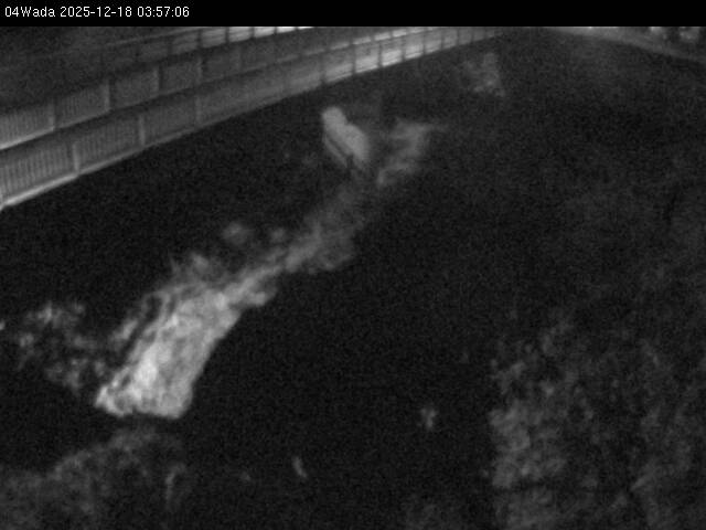 最新監視カメラ画像