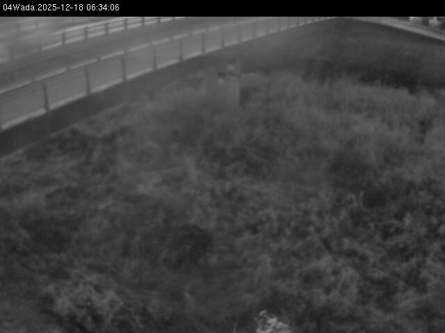 最新監視カメラ画像