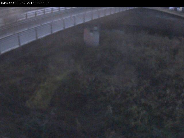 最新監視カメラ画像