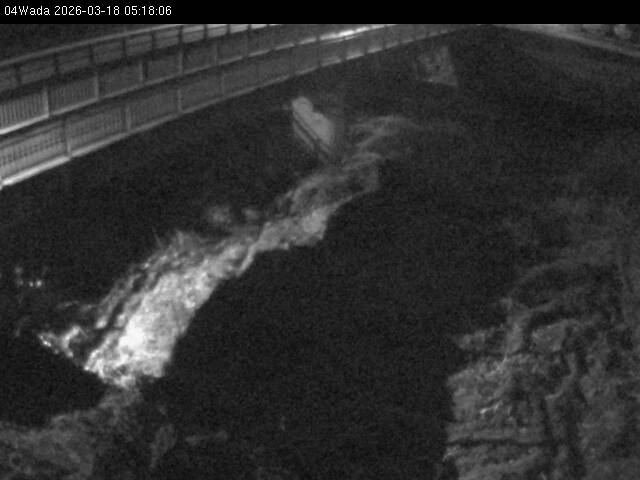 最新監視カメラ画像