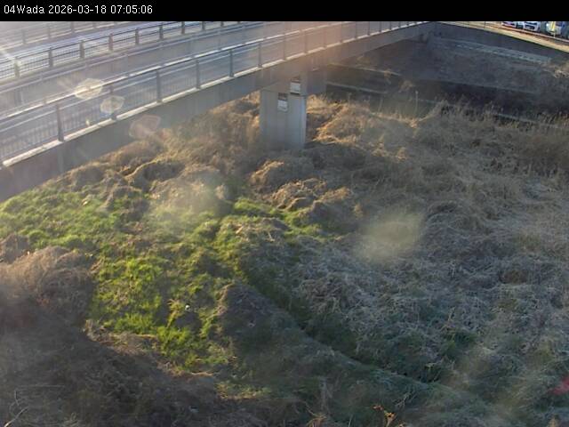 最新監視カメラ画像