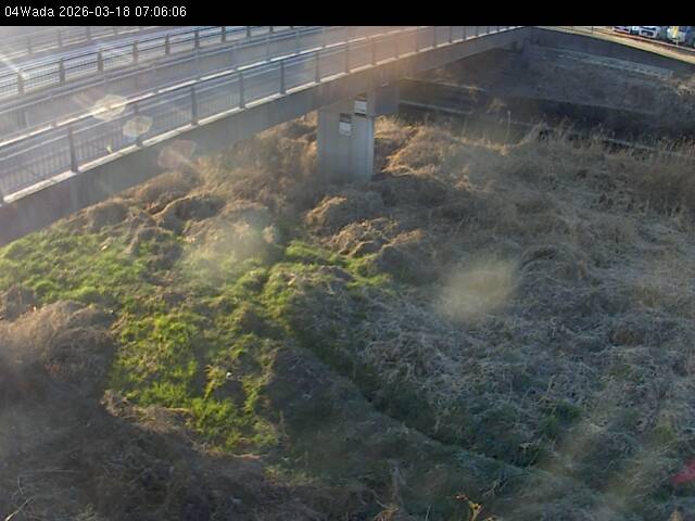 最新監視カメラ画像