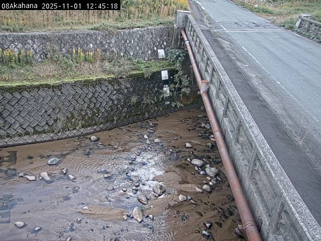 最新監視カメラ画像