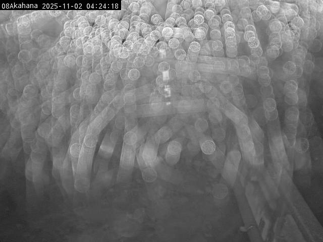 最新監視カメラ画像