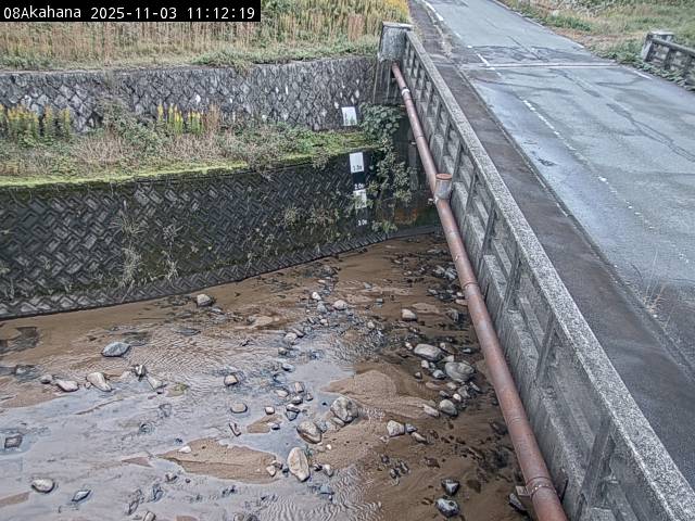 最新監視カメラ画像