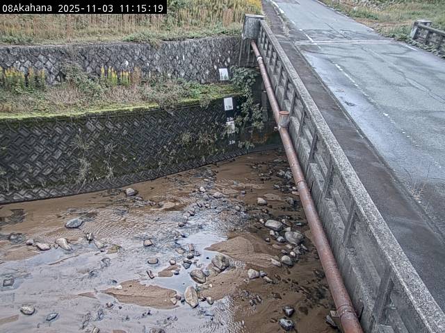 最新監視カメラ画像