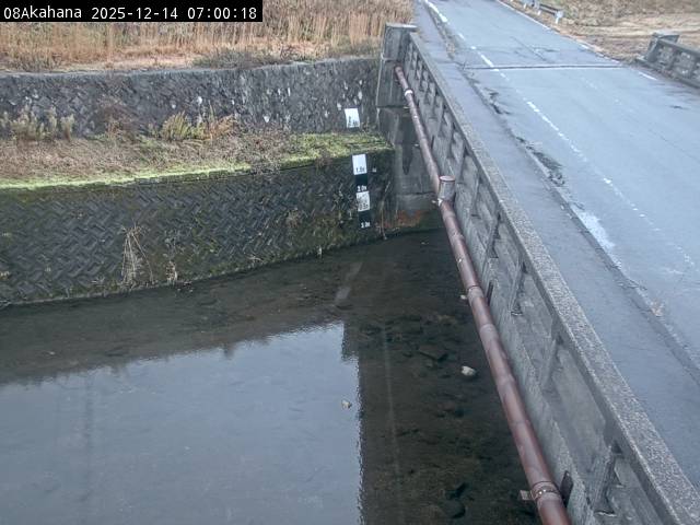 最新監視カメラ画像