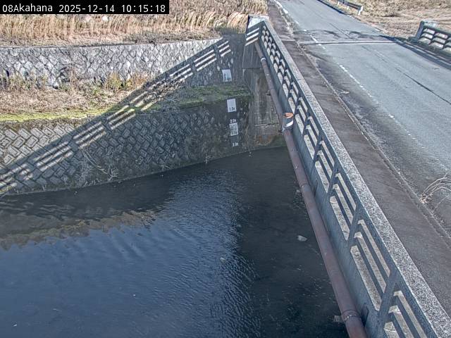 最新監視カメラ画像