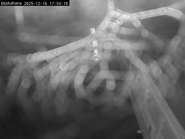 最新監視カメラ画像