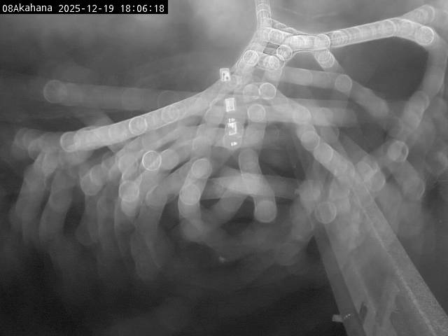 最新監視カメラ画像