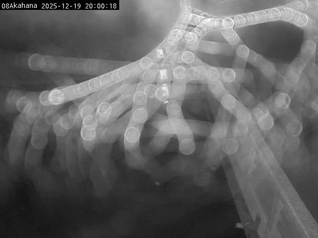 最新監視カメラ画像