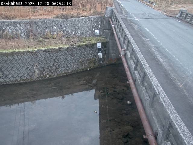 最新監視カメラ画像