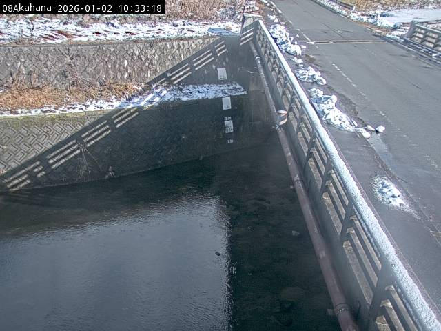 最新監視カメラ画像