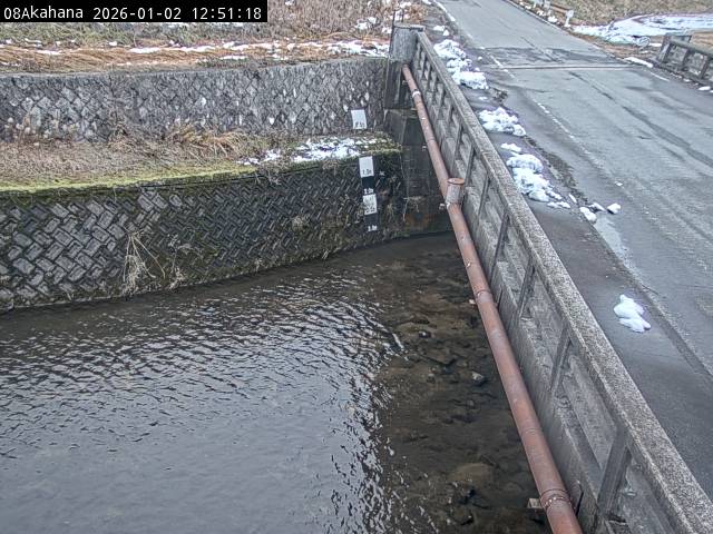 最新監視カメラ画像