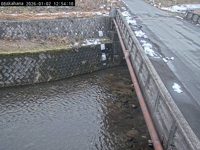 最新監視カメラ画像