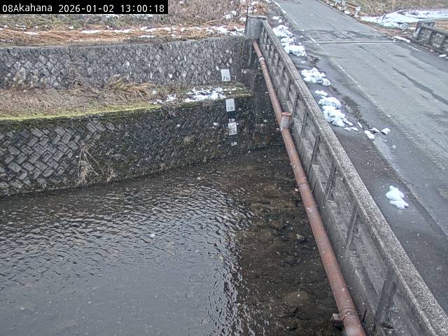 最新監視カメラ画像