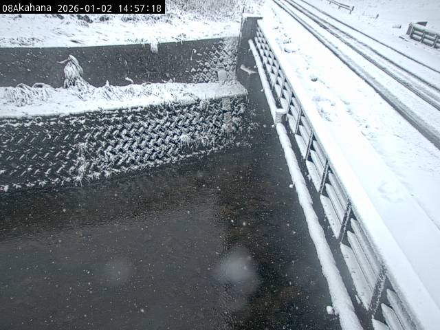 最新監視カメラ画像