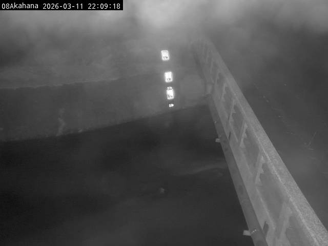 最新監視カメラ画像