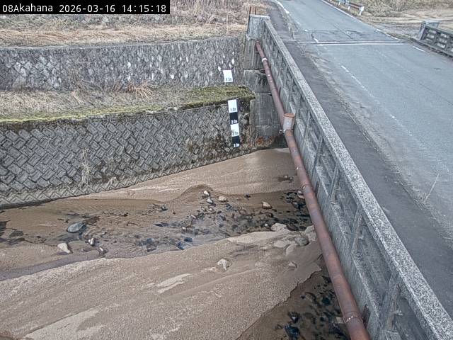 最新監視カメラ画像