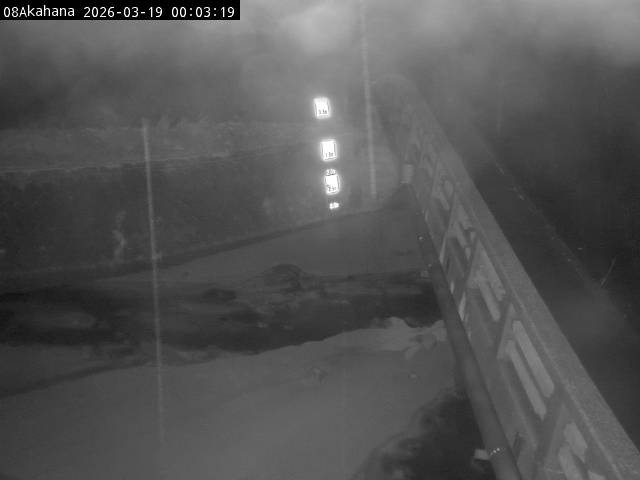 最新監視カメラ画像