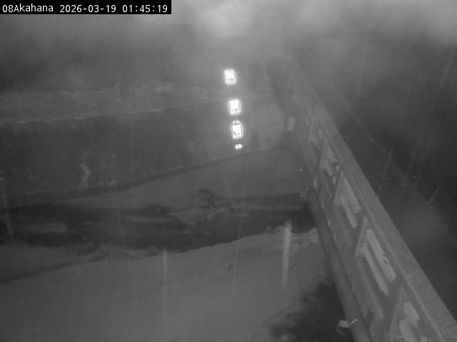 最新監視カメラ画像