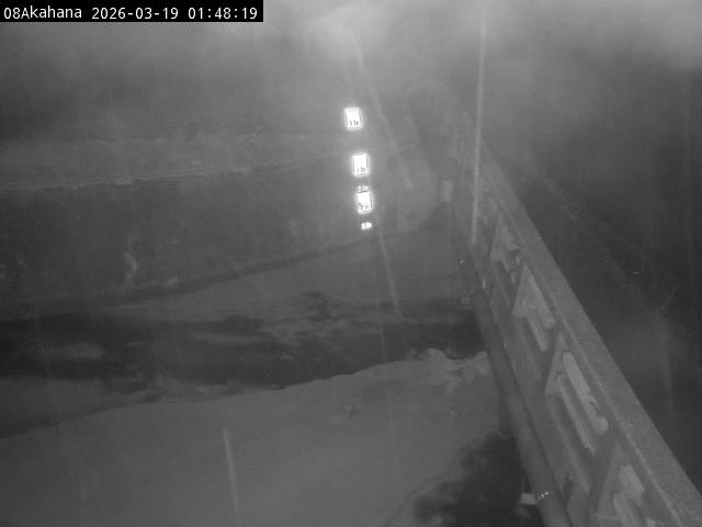 最新監視カメラ画像