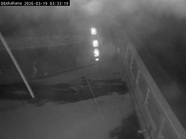 最新監視カメラ画像