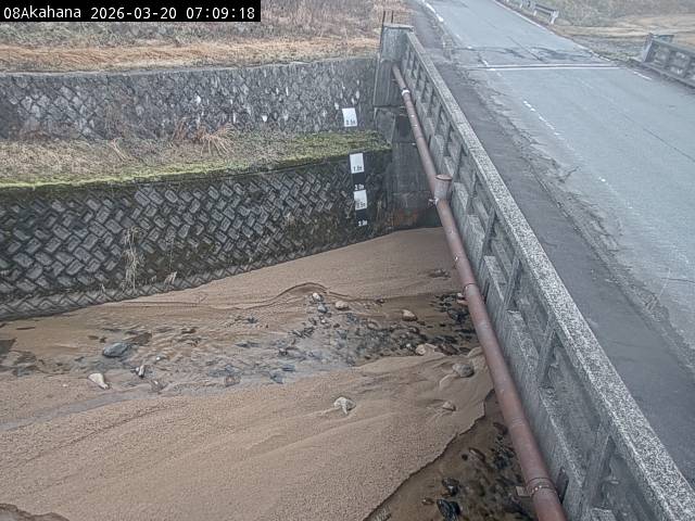 最新監視カメラ画像