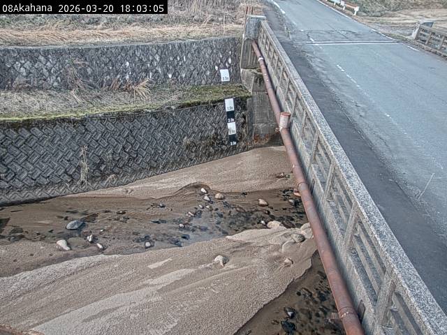 最新監視カメラ画像