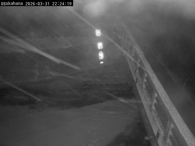 最新監視カメラ画像