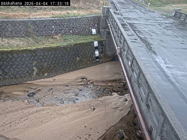 最新監視カメラ画像