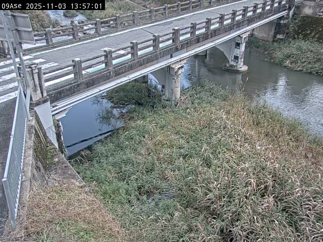 最新監視カメラ画像