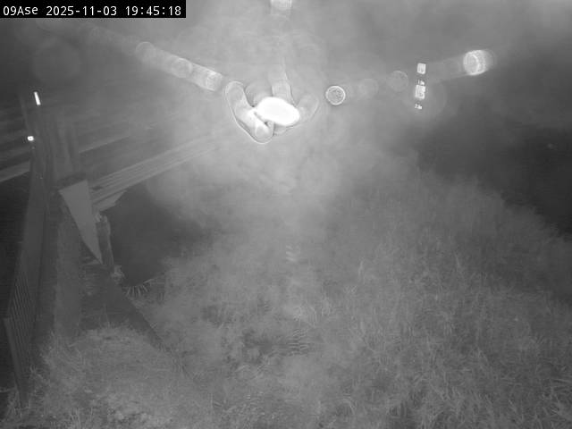 最新監視カメラ画像