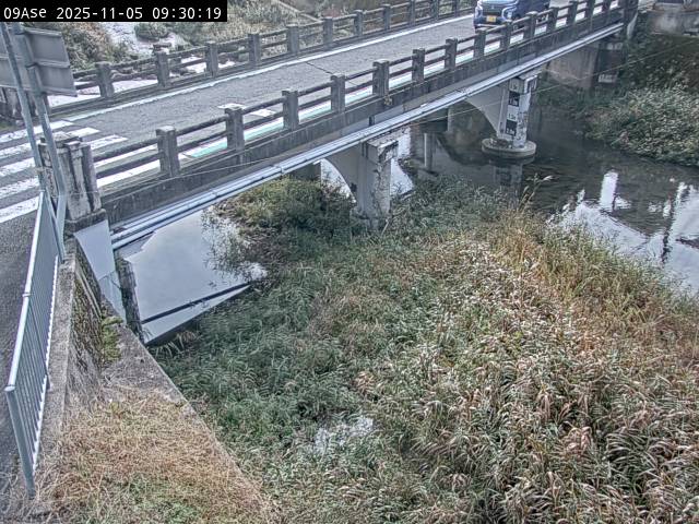 最新監視カメラ画像