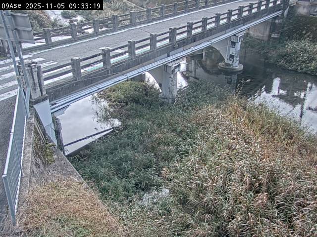 最新監視カメラ画像