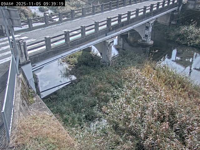 最新監視カメラ画像