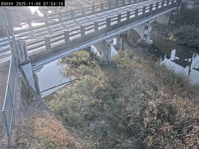 最新監視カメラ画像