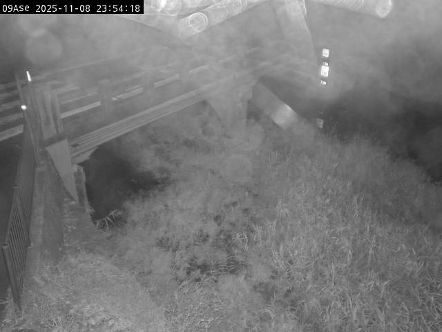 最新監視カメラ画像