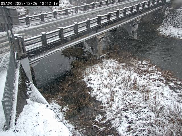 最新監視カメラ画像